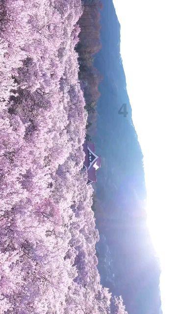 乐儿魔法速算