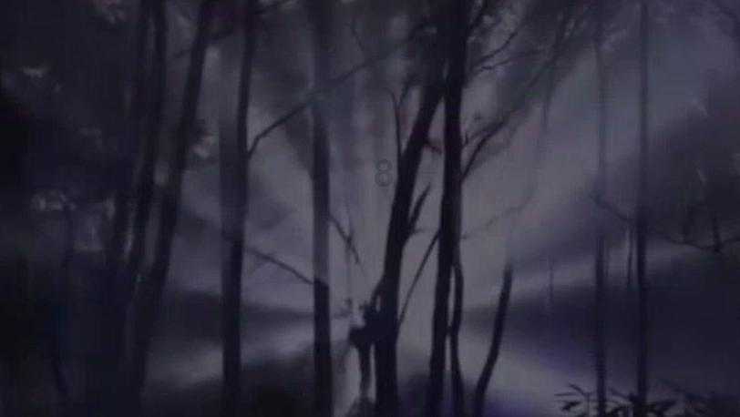 月光影视