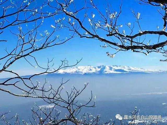 容易流鼻血怎么办？